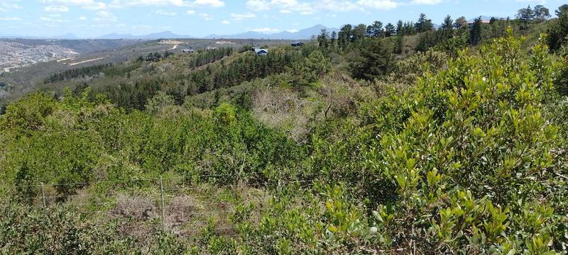 0 Bedroom Property for Sale in Groot Brakrivier Rural Western Cape